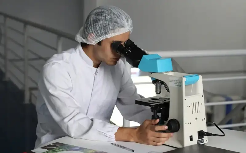 10 most cited scientists in Kazakhstan named