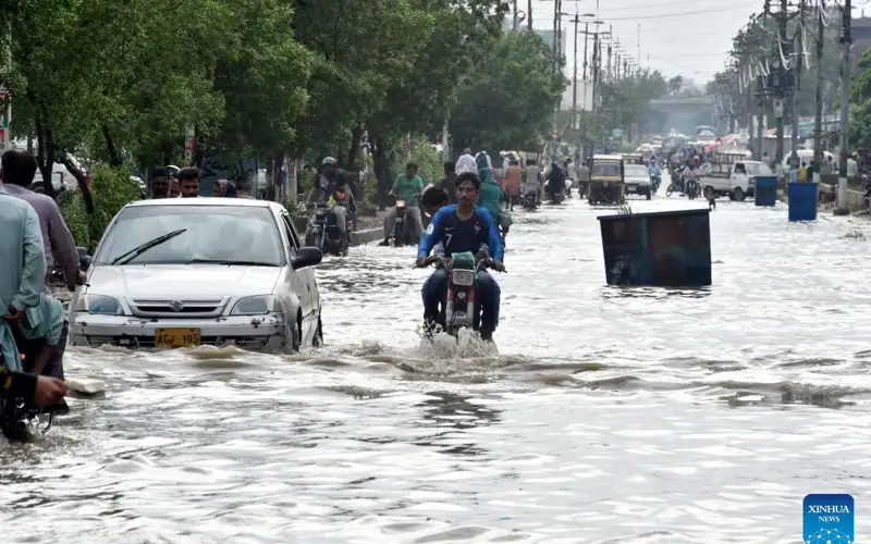 293 killed, 564 injured in monsoon rain-related accidents in Pakistan