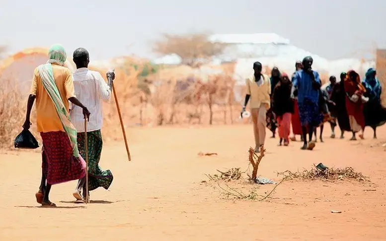 засуха в Африке