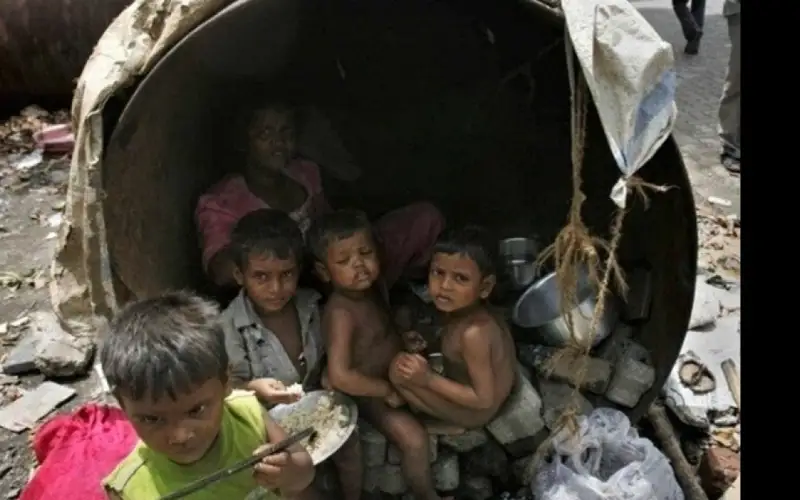 На севере Индии стая волков-людоедов совершила десятки нападений