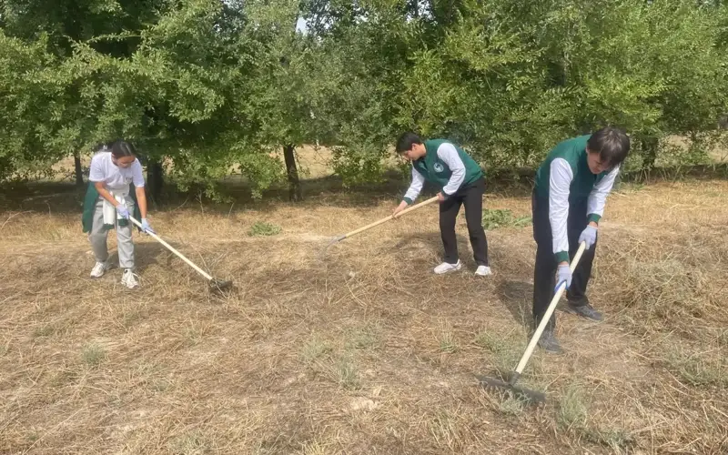 Taza Qazaqstan campaign continues in Zhambyl region