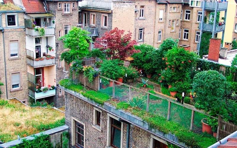 Green roofs in Germany, ecology, environment, nature, Europe