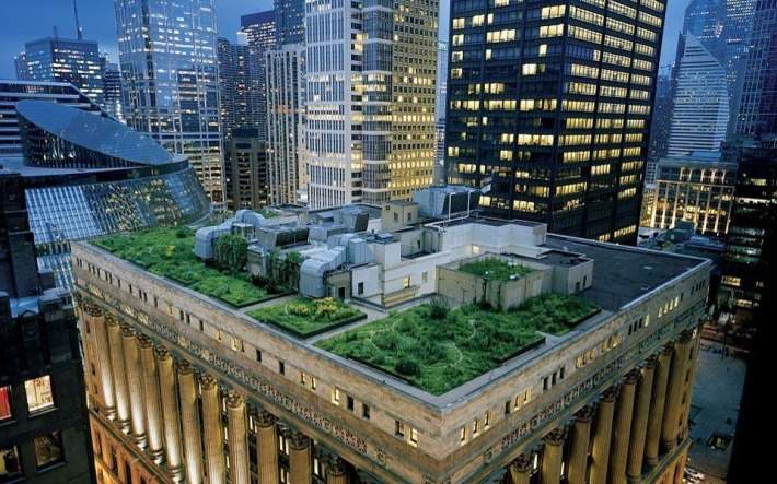 Green roof on top of Chicago City Hall, ecology, environment, architecture, nature