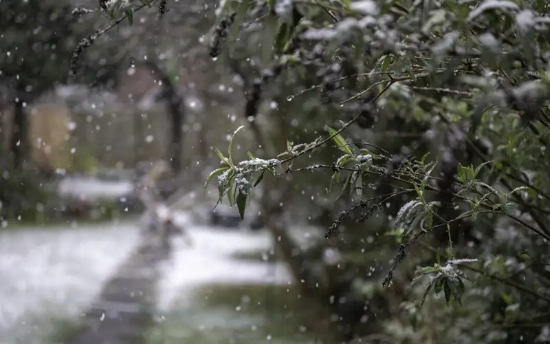 Дождь со снегом