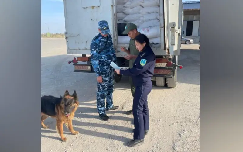 Около 1 тысячи нарушений выявили при импорте в Казахстан