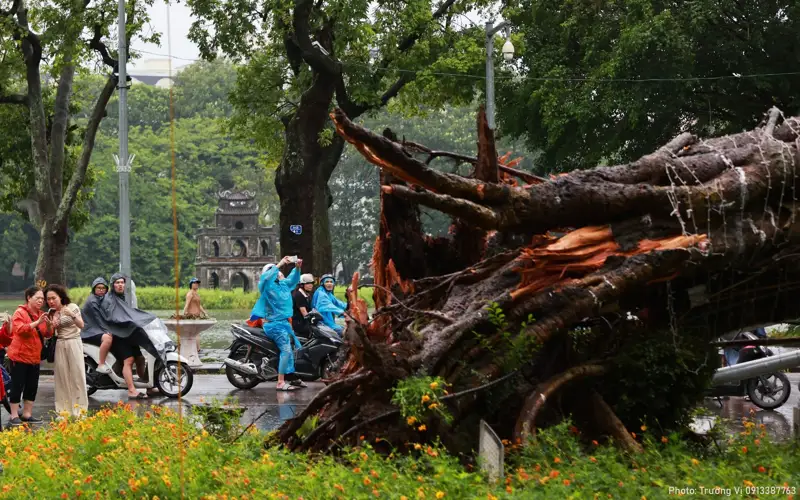 Typhoon Yagi