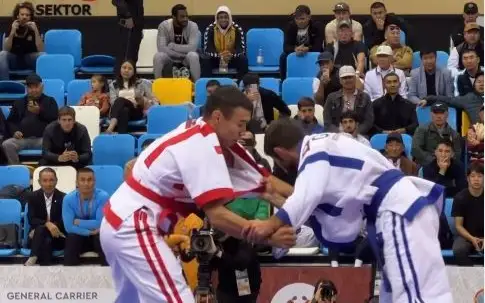 Ulttyq jáne at sporty túrleri ortalyǵy