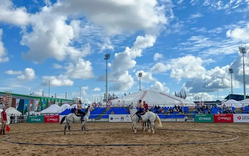 Horseback wrestling, 