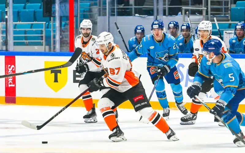 Barys