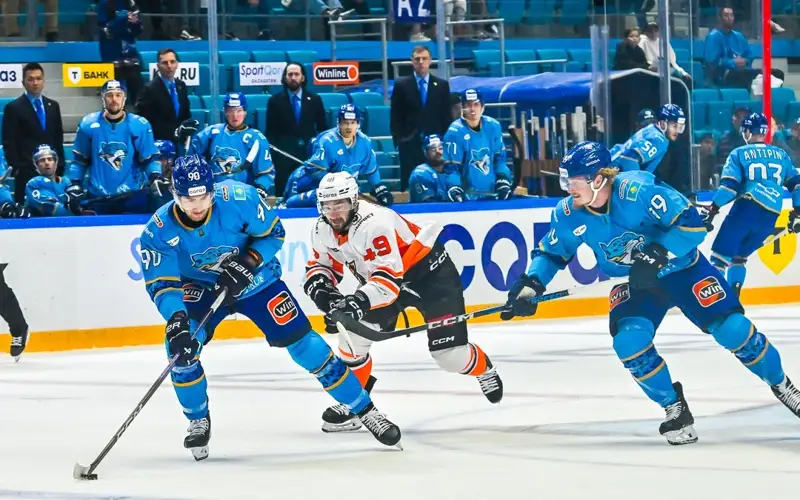 Barys