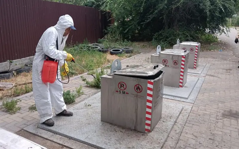 Масштабная уборка и установка новых контейнеров