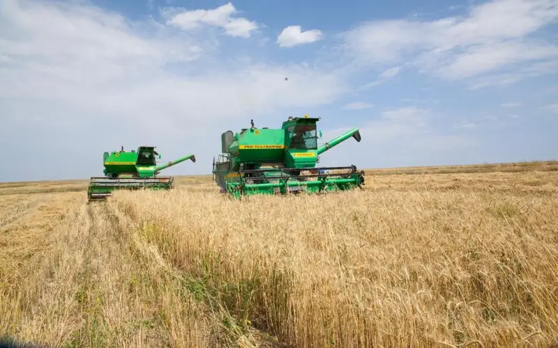 уборка урожая, урожай