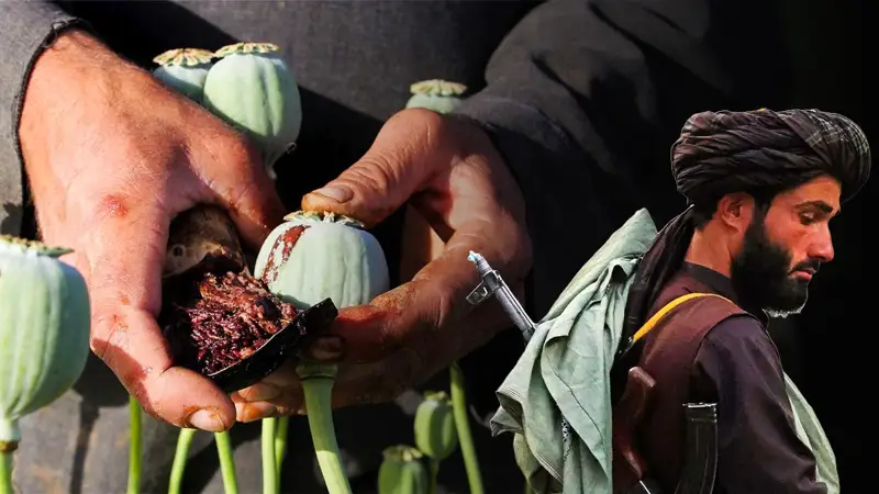 Афганский наркотрафик