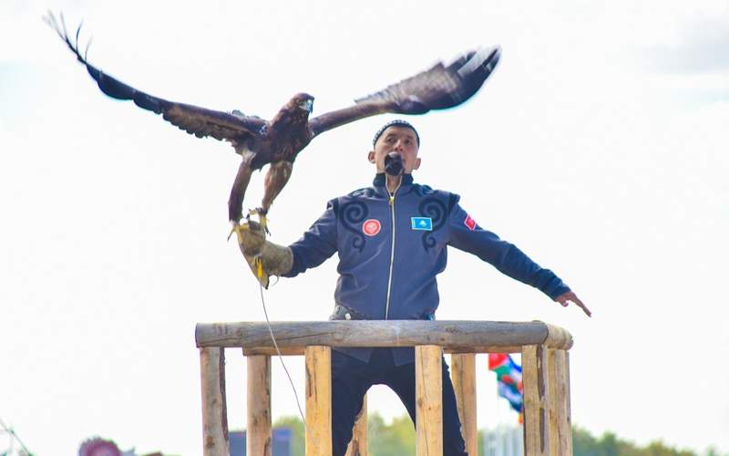 соревнования по охоте с ловчими птицами Құсбегілік