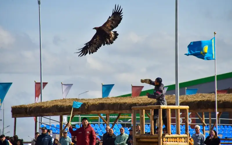 соревнования по охоте с ловчими птицами Құсбегілік