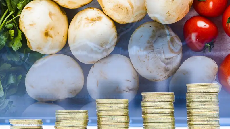 шампиньоны коллаж