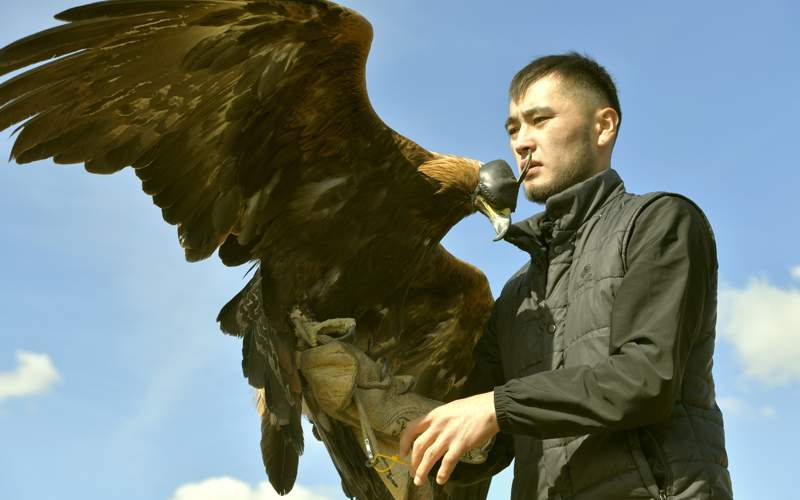 Kusbegilik, nomad games, eagle