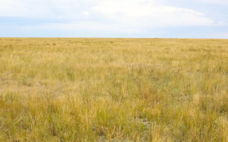 земля, степь