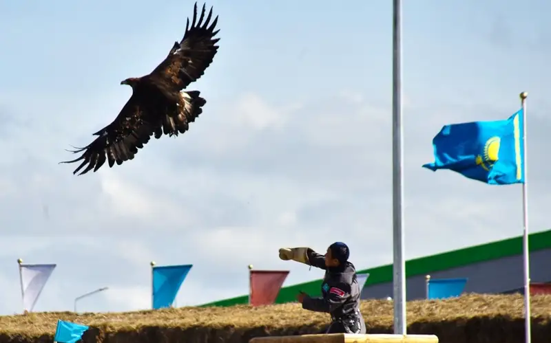 финал соревнований по құсбелігілік