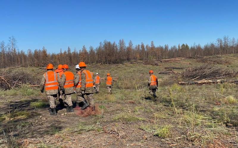 Военнослужащие МЧС Казахстана проводят санитарную вырубку леса в &laquo;Семей Орманы&raquo;