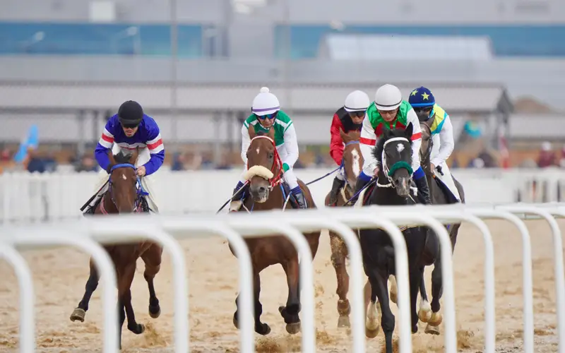 кунан байге