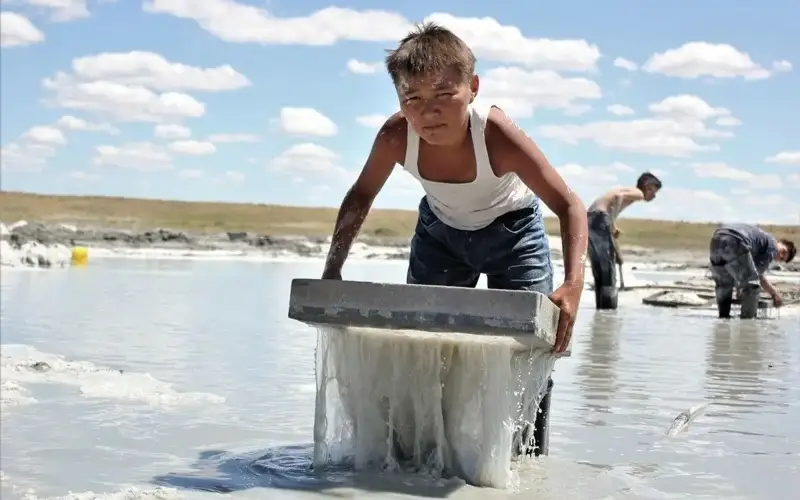 фильм «Бауырына салу»