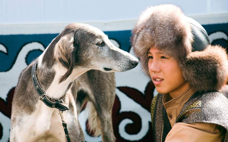 Tazy, world nomad games, dog