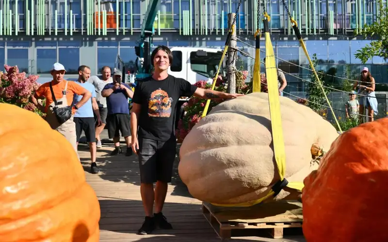 Алып асқабақ