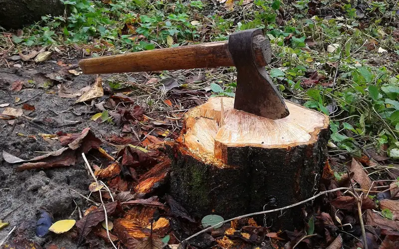 дерево топор рубить