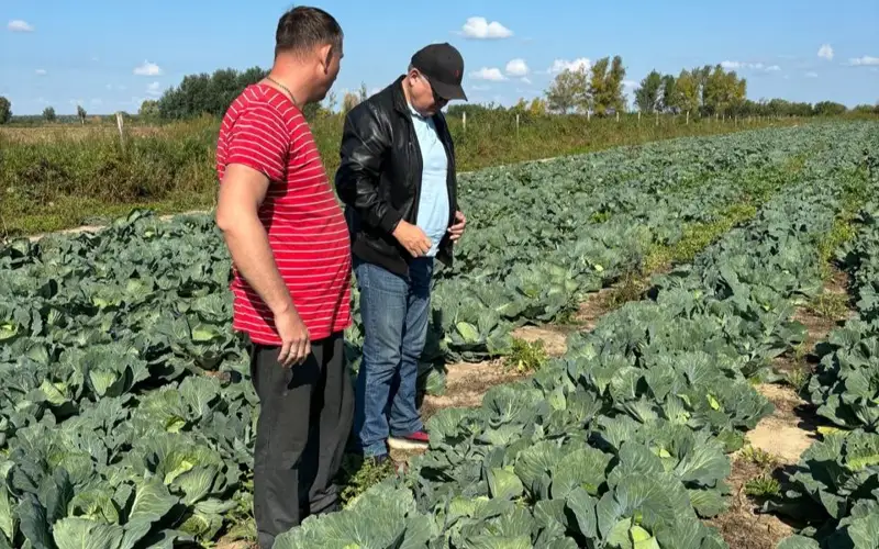  «Kokshe» ÁKK» AQ