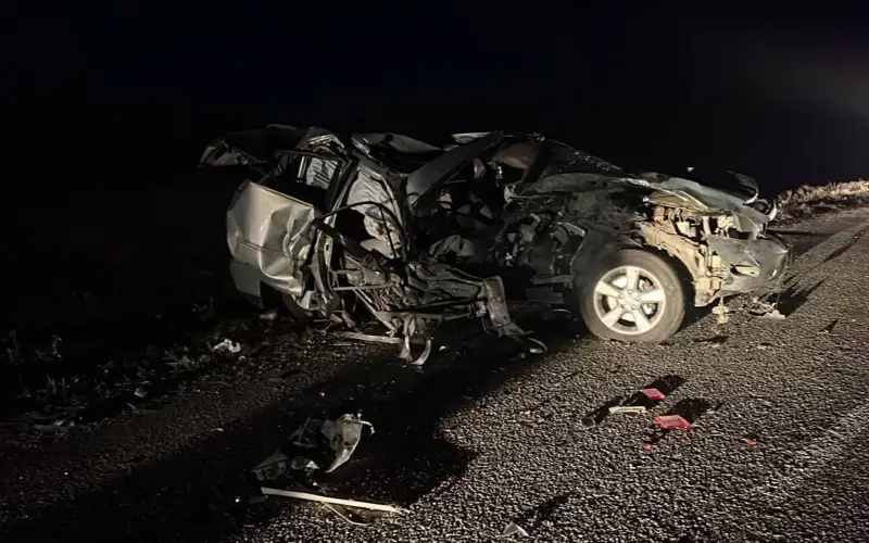 Четыре человека погибли в жуткой аварии в Костанайской области
