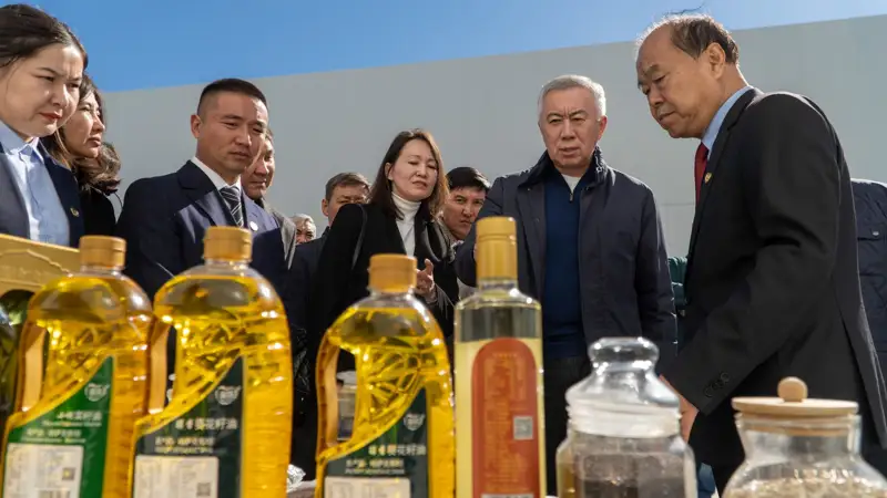 СҚО-да отандық өнімді өңдеу және Қытайға экспорттау бойынша ең ірі орталық құрылып жатыр