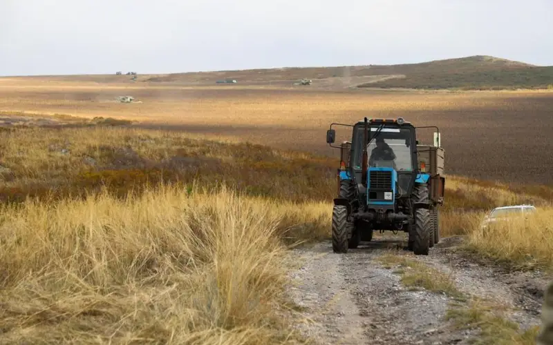 84,6% площадей зерновых убрано в Восточно-Казахстанской области