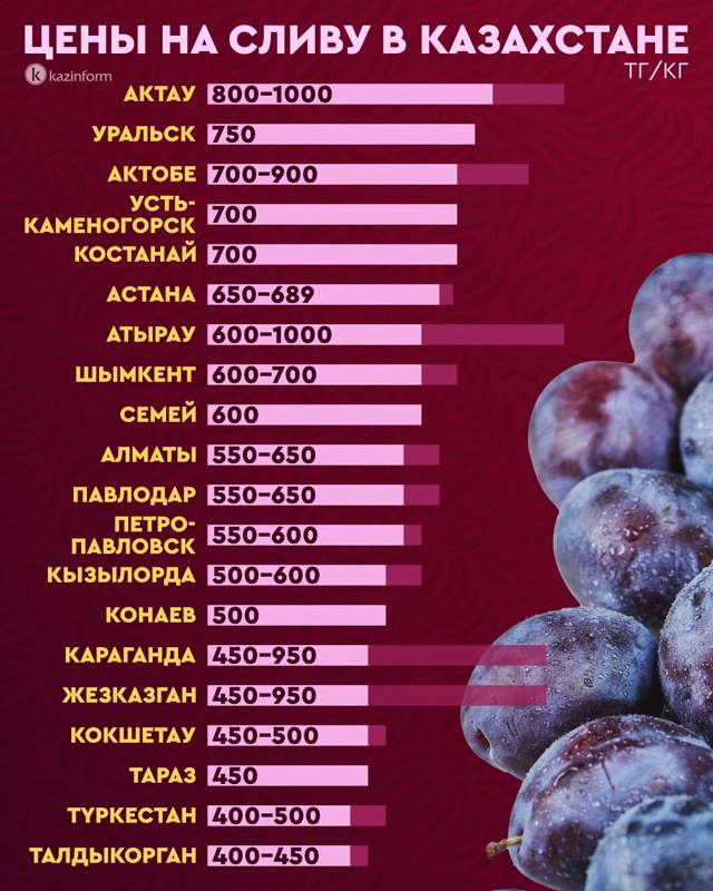 слива инфографика