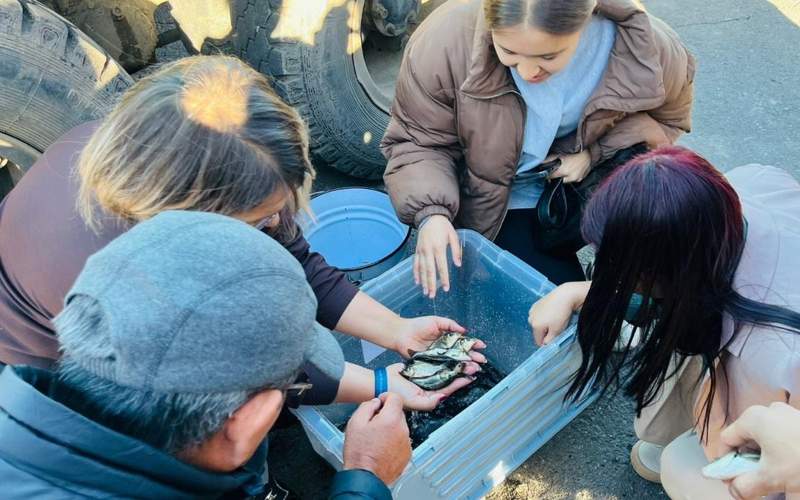 250 tysıach segoletok karpa vypýstılı v reký Esıl v Astane