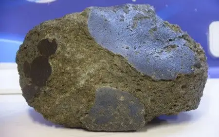 大阪世博会将首次展示日本在南极发现的“火星石”
