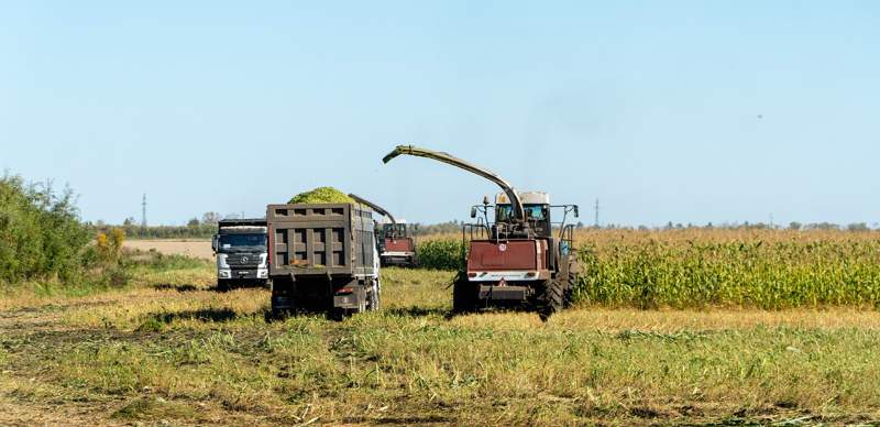 поле, ферма в СКО