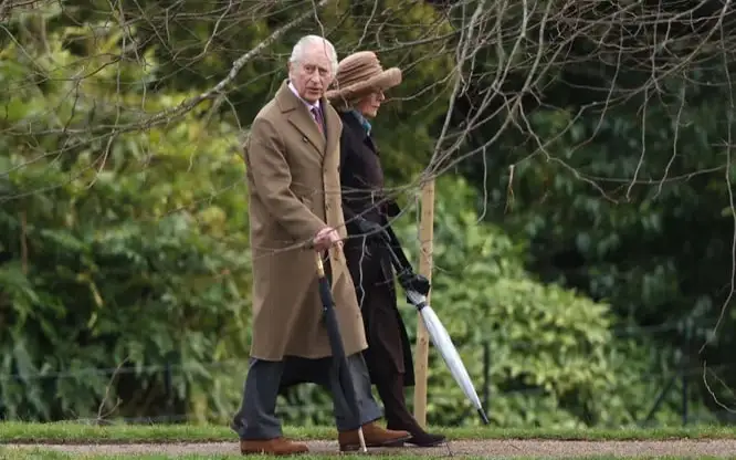 Корольдік малшы іздейді