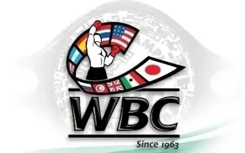 Kazakh fighter enters top 15 of World Boxing Council ranking