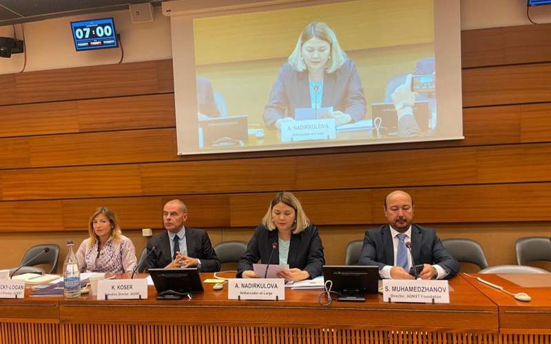 Опыт Казахстана по реинтеграции детей-возвращенцев впервые представлен в Совете ООН по правам человека Опыт Казахстана по реинтеграции детей-возвращенцев впервые представлен в Совете ООН по правам человека