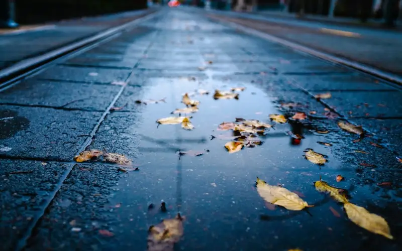 ауа райы күз