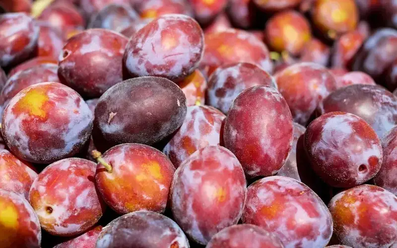 Ер адамды оргазмға әкеліңіз