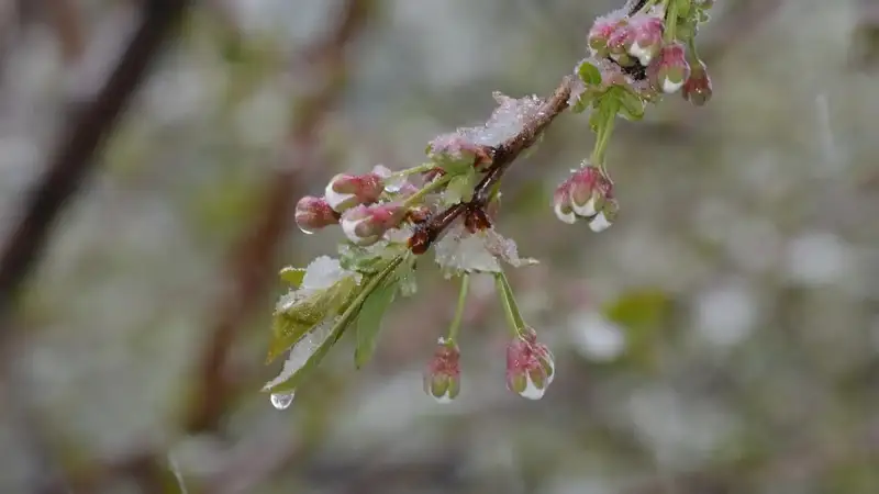 Kazakhstan weather forecast for Sep 24-26