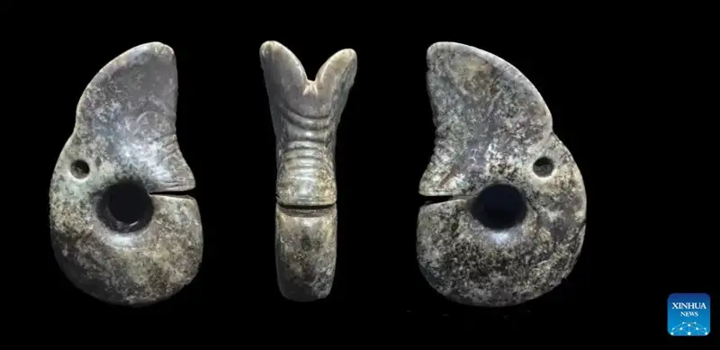 Largest jade dragon from Hongshan culture found in north China