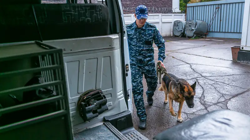Преступление Қылмыс задержания ұсталды МВД РК ҚР ІІМ полиция собака ит