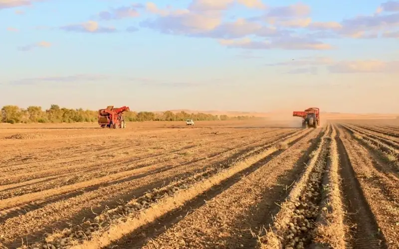 Уборочная кампания в Карагандинской области