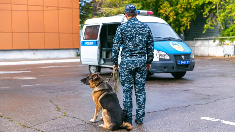 Преступление Қылмыс задержания ұсталды МВД РК ҚР ІІМ полиция собака ит