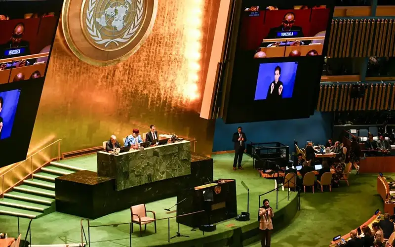 БМТ саммити