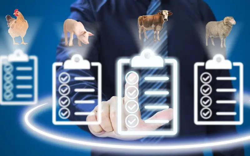 инфографика