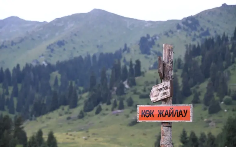 taý
